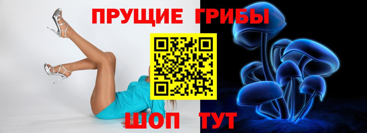 купить  цена  Вход с VPN  Зима  Псилоцибиновые грибы Magic Shrooms 